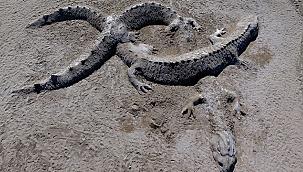 GÜZELYALI SAHİLİ'NDE KUMDAN HEYKELLER YÜKSELDİ