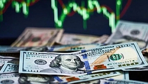 MERKEZ BANKASI'NIN FAİZ İNDİRİMİYLE DOLAR 18,11'E YÜKSELDİ!