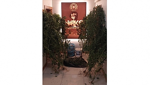 NARKOTİKTEN OPERASYON!