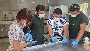 "DOĞRU TEDAVİ, HIZLI TEŞHİS"