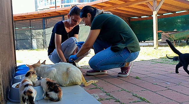 KEDİ KÖYÜ SAKİNLERİNE SAĞLIK TARAMASI YAPILDI