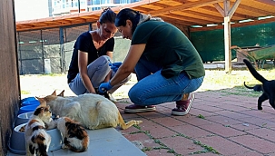 KEDİ KÖYÜ SAKİNLERİNE SAĞLIK TARAMASI YAPILDI