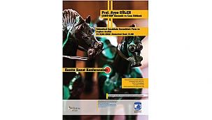 KENTTE SANAT KONFERANSLARI DEVAM EDİYOR