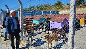 "CANLARIMIZI SAHİPLENMEYE DAVET EDİYORUM''