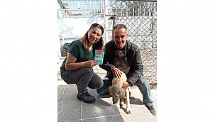 CAN DOSTLAR İÇİN ÇALIŞMALAR ARALIKSIZ SÜRÜYOR