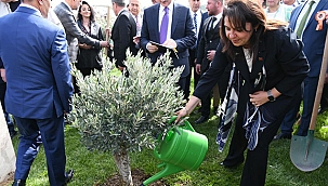 ÇANAKKALE'DE TOPRAKLA BULUŞAN FİDAN SAYISI 100 MİLYONUN ÜZERİNDE