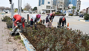 KENT GENELİNDE PEYZAJ ÇALIŞMALARI SÜRÜYOR