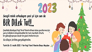 YENİ YIL İÇİN SEN DE BİR DİLEK TUT!