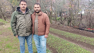 BİGA'DA SALEP ÜRETİMİ YAPILIYOR