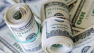 DOLAR YENİ GÜNE YATAY SEYİRLE BAŞLADI