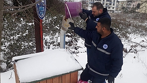 BİGA BELEDİYESİ'NDEN KARLI HAVADA SOKAK HAYVANLARINA MAMA