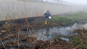 ÇAN'DA LARVA İLAÇLAMALARI BAŞLADI