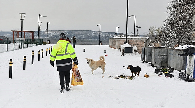 SOĞUK HAVADA CAN DOSTLARIMIZ UNUTULMUYOR