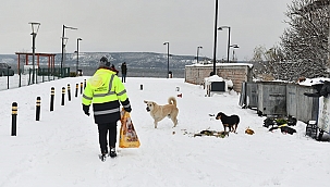 SOĞUK HAVADA CAN DOSTLARIMIZ UNUTULMUYOR
