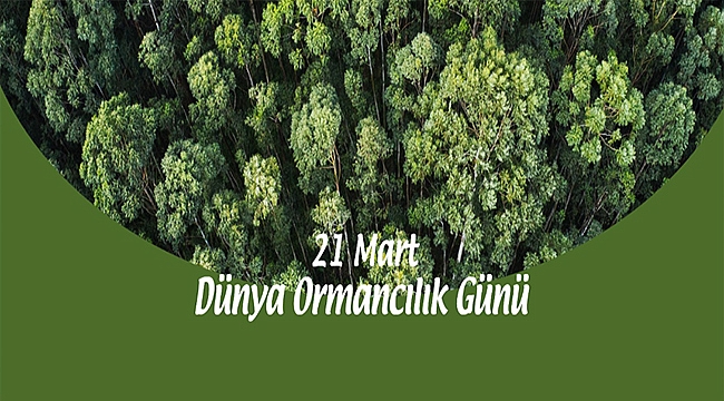 BAŞKAN GÖKHAN'IN 21 MART DÜNYA ORMANCILIK GÜNÜ MESAJI