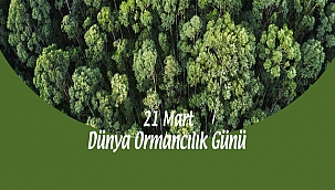 BAŞKAN GÖKHAN'IN 21 MART DÜNYA ORMANCILIK GÜNÜ MESAJI