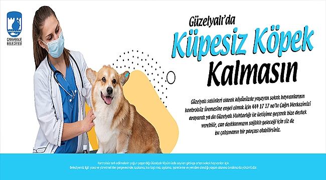 GÜZELYALI'DA KÜPESİZ KÖPEK KALMASIN