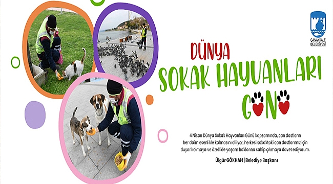 BAŞKAN GÖKHAN'IN 4 NİSAN DÜNYA SOKAK HAYVANLARI GÜNÜ MESAJI