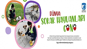 BAŞKAN GÖKHAN'IN 4 NİSAN DÜNYA SOKAK HAYVANLARI GÜNÜ MESAJI