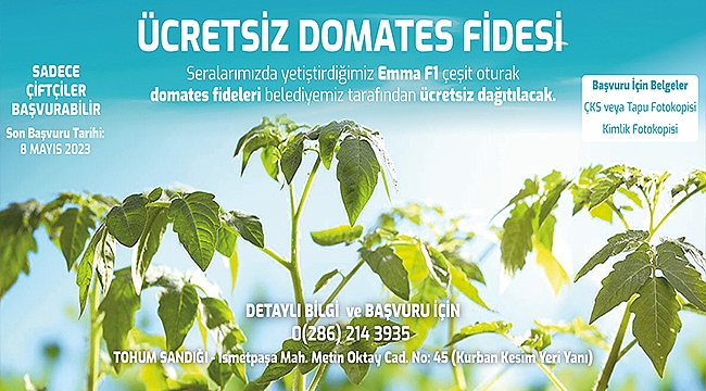 ÇİFTÇİLER İÇİN "ÜCRETSİZ DOMATES FİDESİ" DAĞITIMLARI BAŞLIYOR
