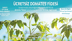 ÇİFTÇİLER İÇİN "ÜCRETSİZ DOMATES FİDESİ" DAĞITIMLARI BAŞLIYOR