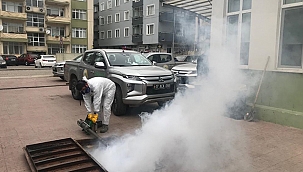 SİVRİSİNEKLE VE KARASİNEKLE MÜCADELE ARALIKSIZ SÜRÜYOR