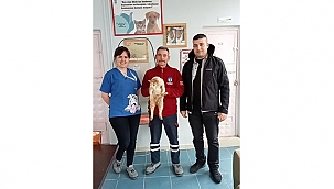 CAN DOSTLARA YÖNELİK ÇALIŞMALARA DEVAM