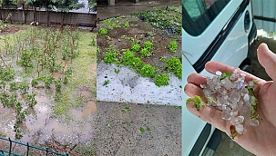 YENİCE'DE FIRTINA VE DOLU FELAKETİ!