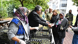 YEREL TOHUMLARDAN ÜRETİLEN FİDELER KENTLİLERLE BULUŞTU