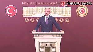 ATOM KARINCA İŞİNİN BAŞINDA