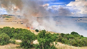 BİGA'DA 100 DÖNÜM ARAZİ KÜL OLDU!