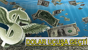 DOLAR UÇUŞA GEÇTİ