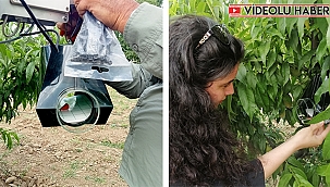 LAPSEKİ TARIMI DİJİTALLEŞİYOR