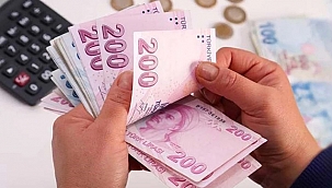 YENİ ASGARİ ÜCRET 11 BİN 402 LİRA OLDU
