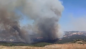 ALEVLER YENİDEN YÜKSELİYOR