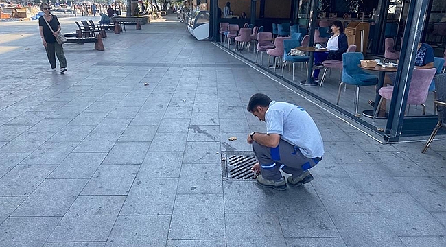 HAŞERELERE YÖNELİK İLAÇLAMA ÇALIŞMALARI SÜRÜYOR