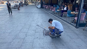 HAŞERELERE YÖNELİK İLAÇLAMA ÇALIŞMALARI SÜRÜYOR