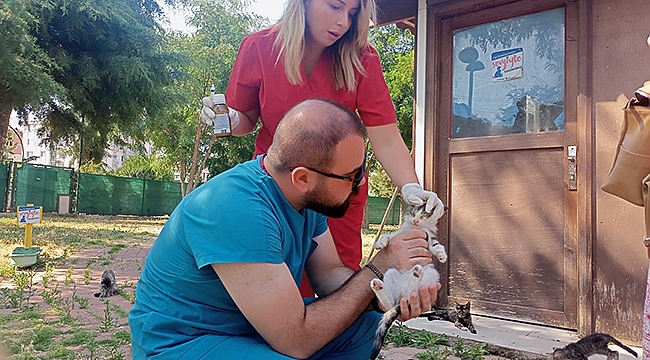 KEDİ KÖYÜNDE SAĞLIK TARAMASI GERÇEKLEŞTİRİLDİ