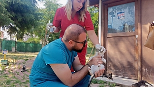 KEDİ KÖYÜNDE SAĞLIK TARAMASI GERÇEKLEŞTİRİLDİ