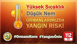 SON 10 GÜNDE 203 ORMAN YANGINI!