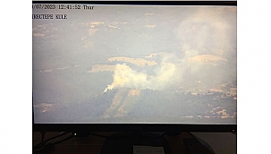 YENİCE'DE ORMAN YANGINI!