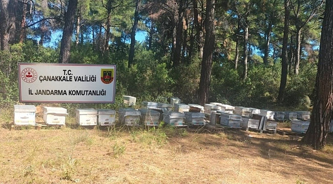 JANDARMA DEDEKTİFLERİ İŞ BAŞINDA