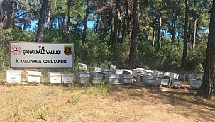 JANDARMA DEDEKTİFLERİ İŞ BAŞINDA