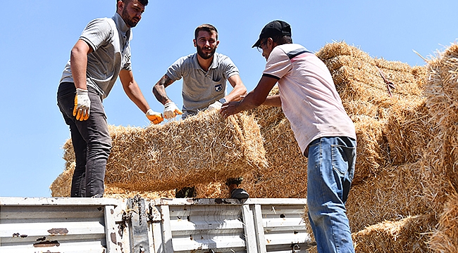 SAMAN BALYASI DESTEĞİ SÜRÜYOR