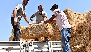 SAMAN BALYASI DESTEĞİ SÜRÜYOR