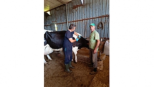 BİGA'DA ŞAP TEDBİRLERİ DEVREDE