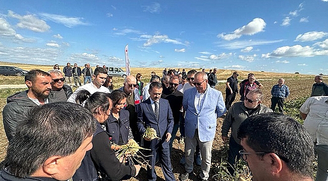 ÇIPLAK KÖYÜNDE ŞEKER PANCARI İLK HASAT TARLA GÜNÜ ETKİNLİĞİ GERÇEKLEŞTİRİLDİ