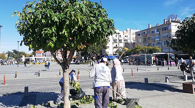 PARK VE BAHÇELER MÜDÜRLÜĞÜNDEN BUDAMA ÇALIŞMASI