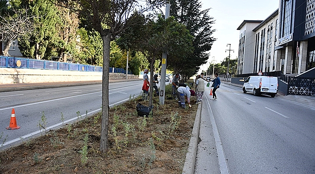 ATİKHİSAR CADDESİ LAVANTALAR İLE DONATILDI