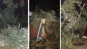 AYVACIK'I HORTUM VURDU